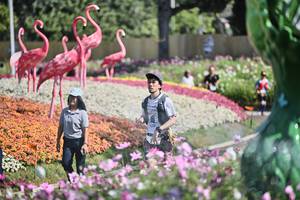 BIB: 
                            <button type="button" onclick="openModal(27793114)" class="btn btn-primary btn-sm float-right btn-popup" data-toggle="modal" data-target=".modal-high-quality">
                        <i class="fas fa-shopping-cart"></i> Add to Cart
                    </button>
                                            <button type="button" onclick="isThisMe(27793114, true)" class="btn btn-success btn-sm float-right btn-popup btn-isme hidden" data-toggle="tooltip" data-placement="bottom" title="นี่คือรูปของคุณใช่ไหม คลิกที่นี่เพื่อเอาเข้าอัลบั้ม">
                        <i class="fas fa-plus"></i> Add to album
                    </button>
                    <button type="button" onclick="isThisMe(27793114, false)" class="btn btn-warning btn-sm float-right btn-popup btn-isnotme hidden">
                        <i class="fas fa-ban"></i> Remove from album
                    </button>